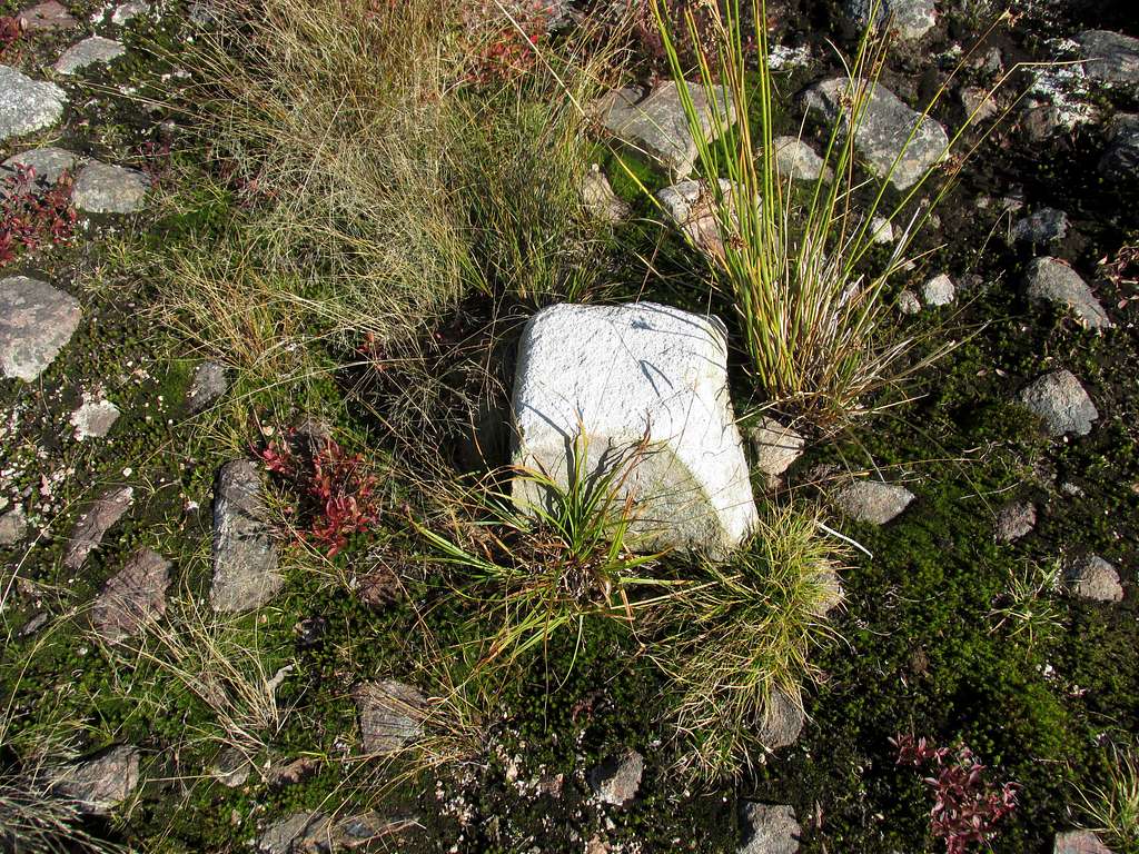 North Barren Marker Stone