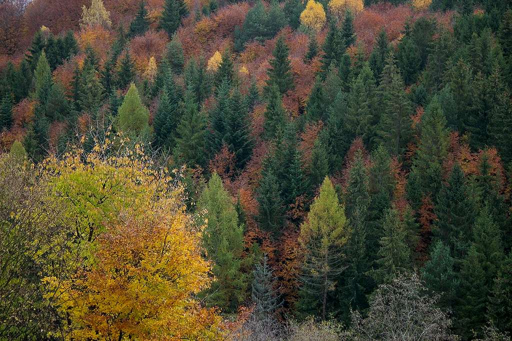 Fall scenery over Obrucne