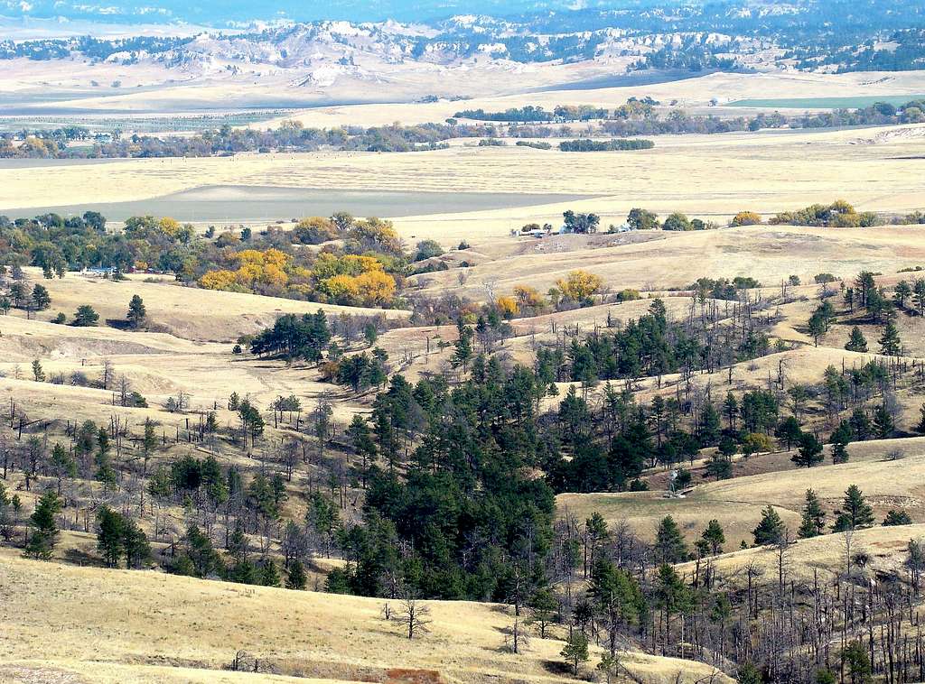 Aristocrat Summit View East