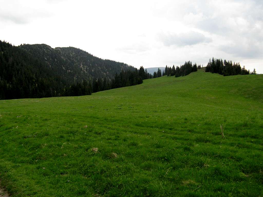 Skalná Alpa (1463m)