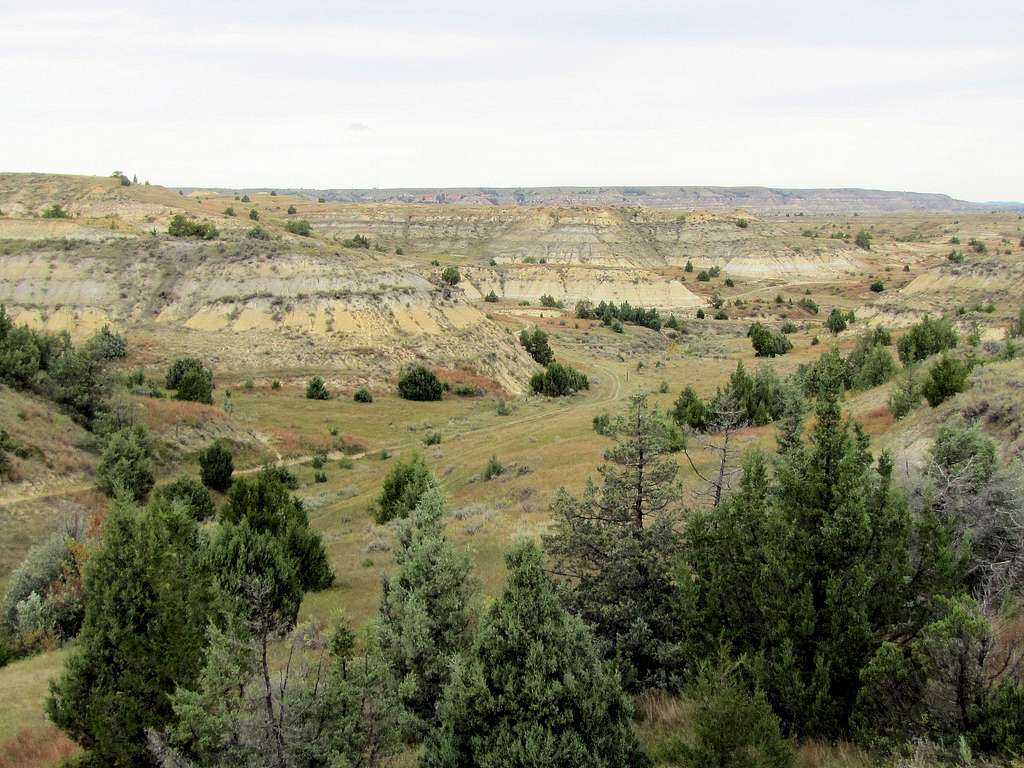 Looking north from near the high point