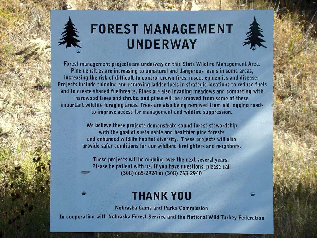 Forest Management Sign