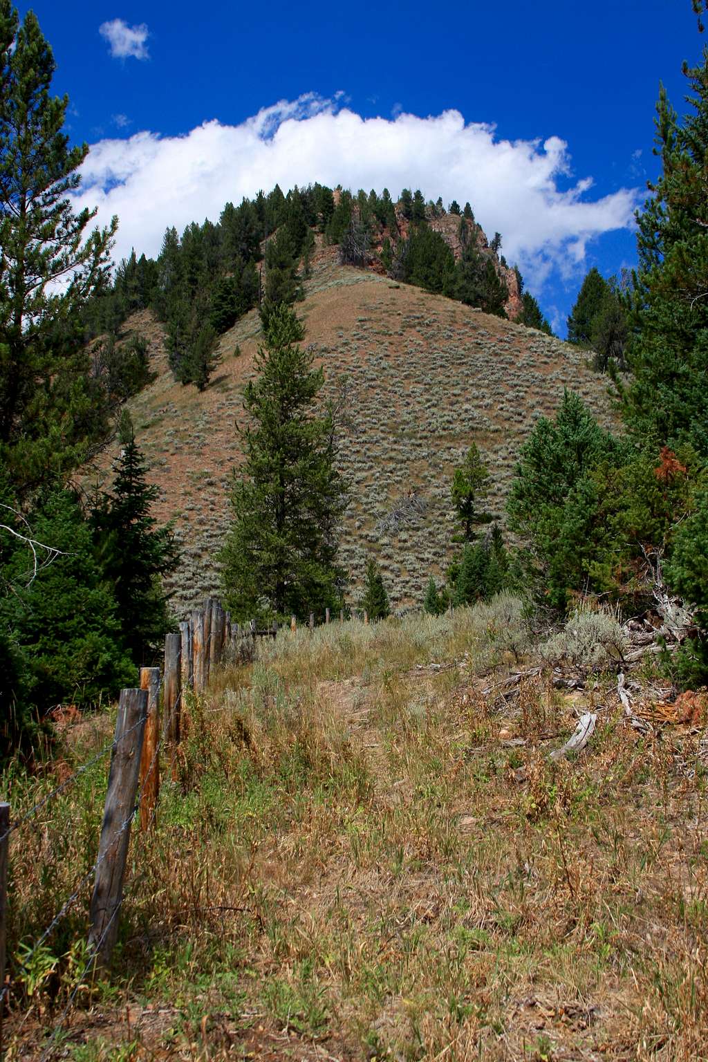 slope of Battle Mountain