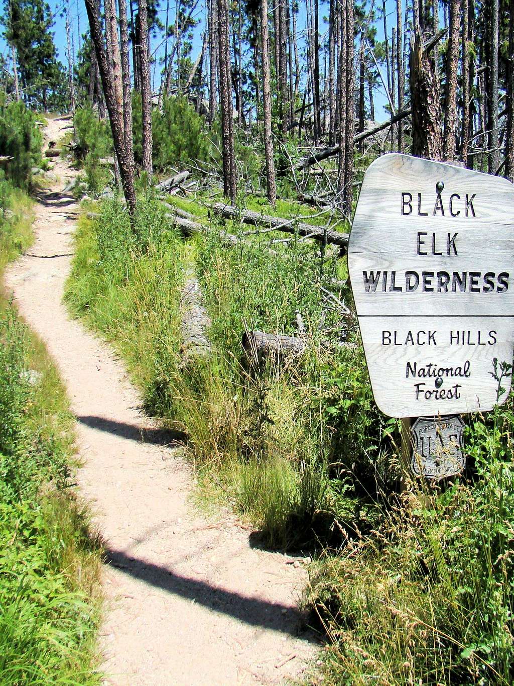 Trail 3 Black Elk Wilderness
