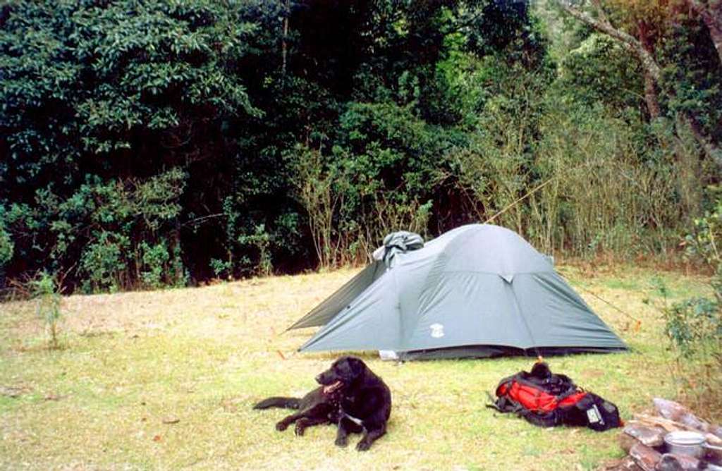 My Dog ( Blackie ) , my tent...