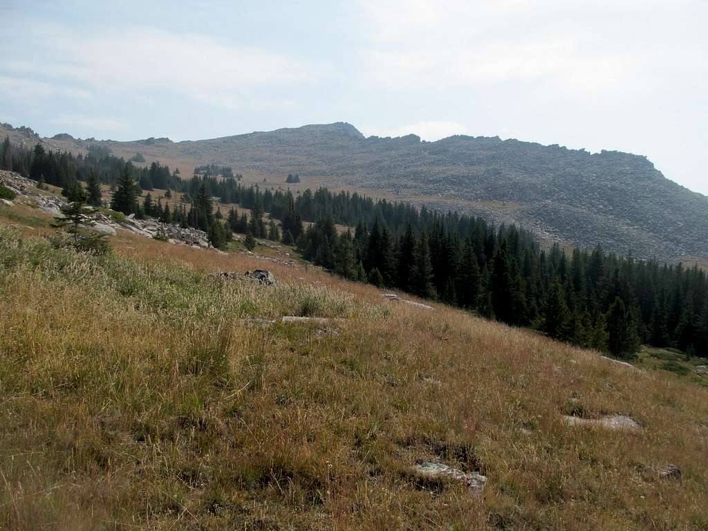 climbing with the summit in view