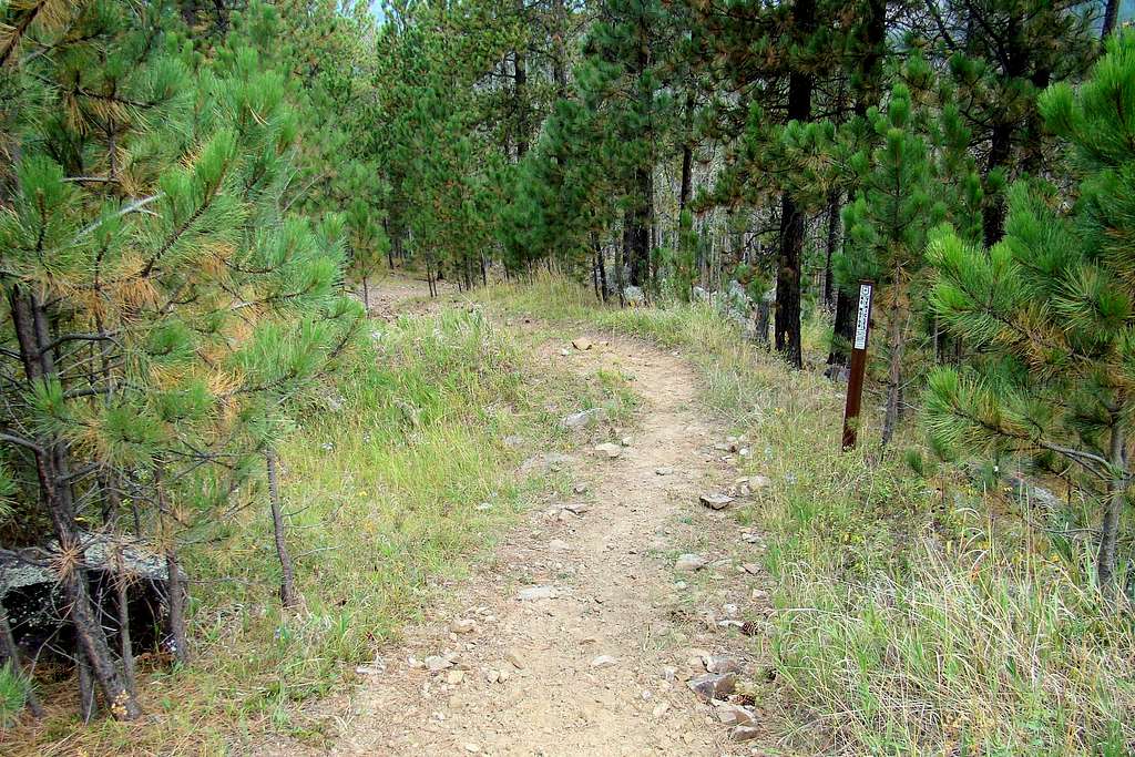 Cicero Peak Trail