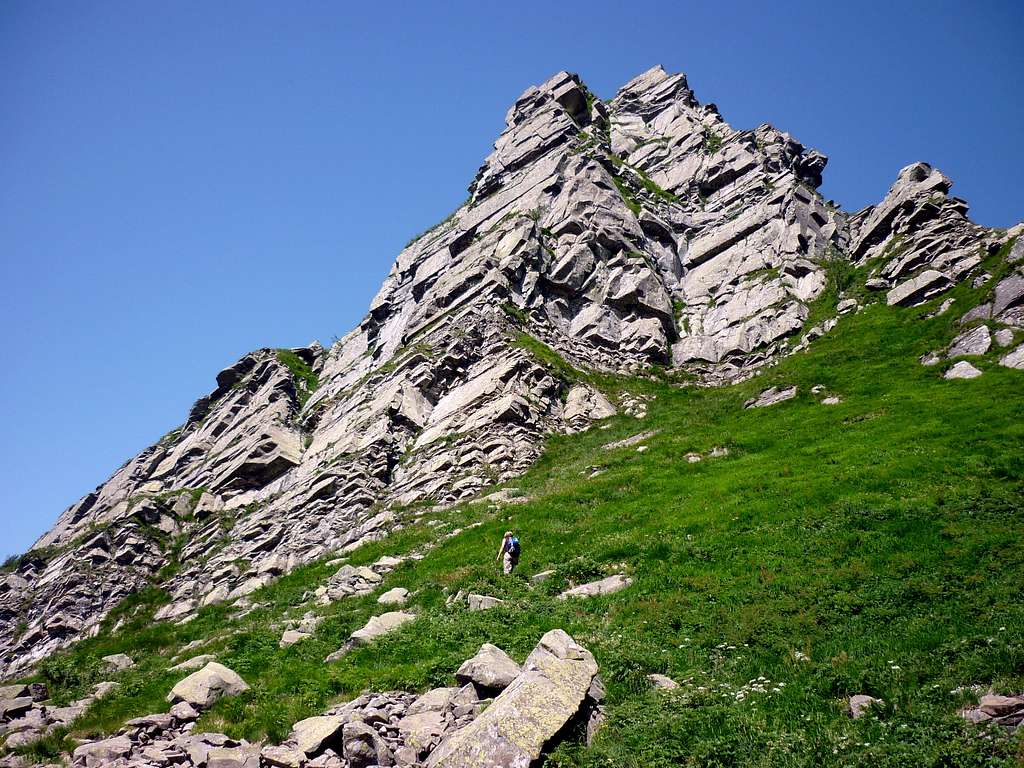 The grassy slope below Pumacioletto S ridge
