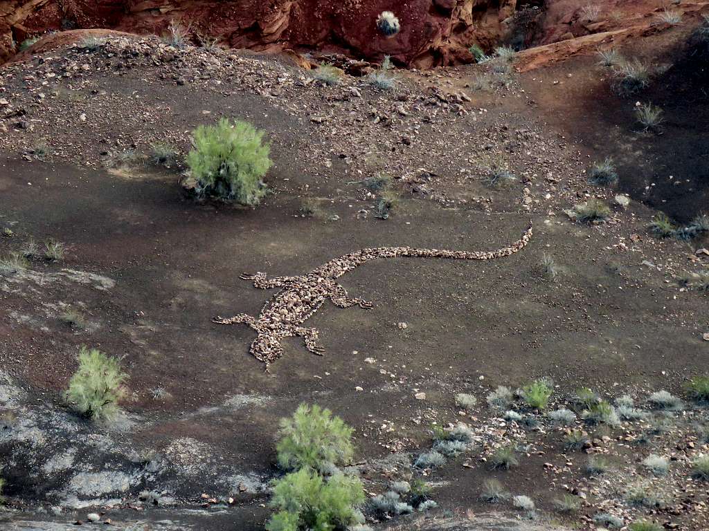 Zoomed view of the lizard geoglyph
