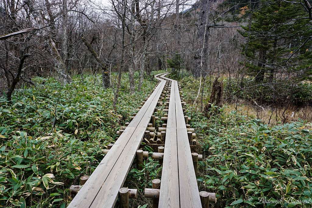 Wooden Trail along the Right shore