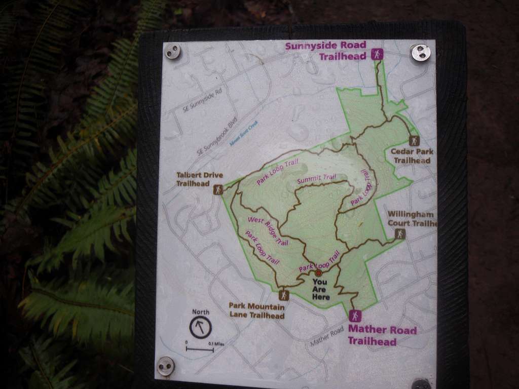 Another Map of the Park