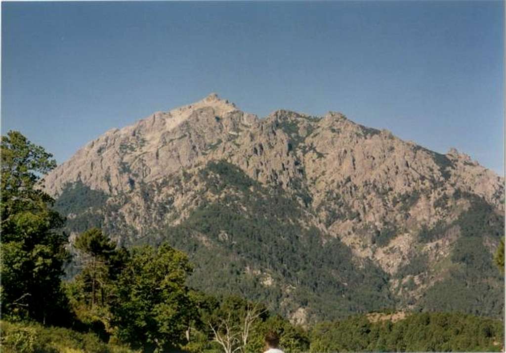 Monte d'Oro. July 2000