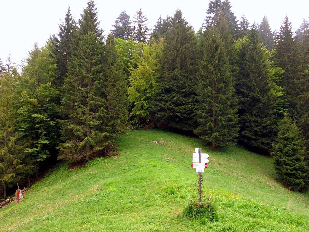 Sella di Lomar, towards Gavardina