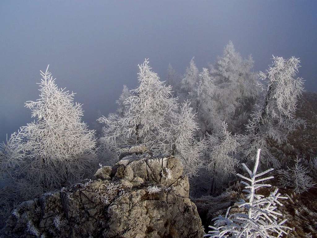Winter scene on Urslja gora