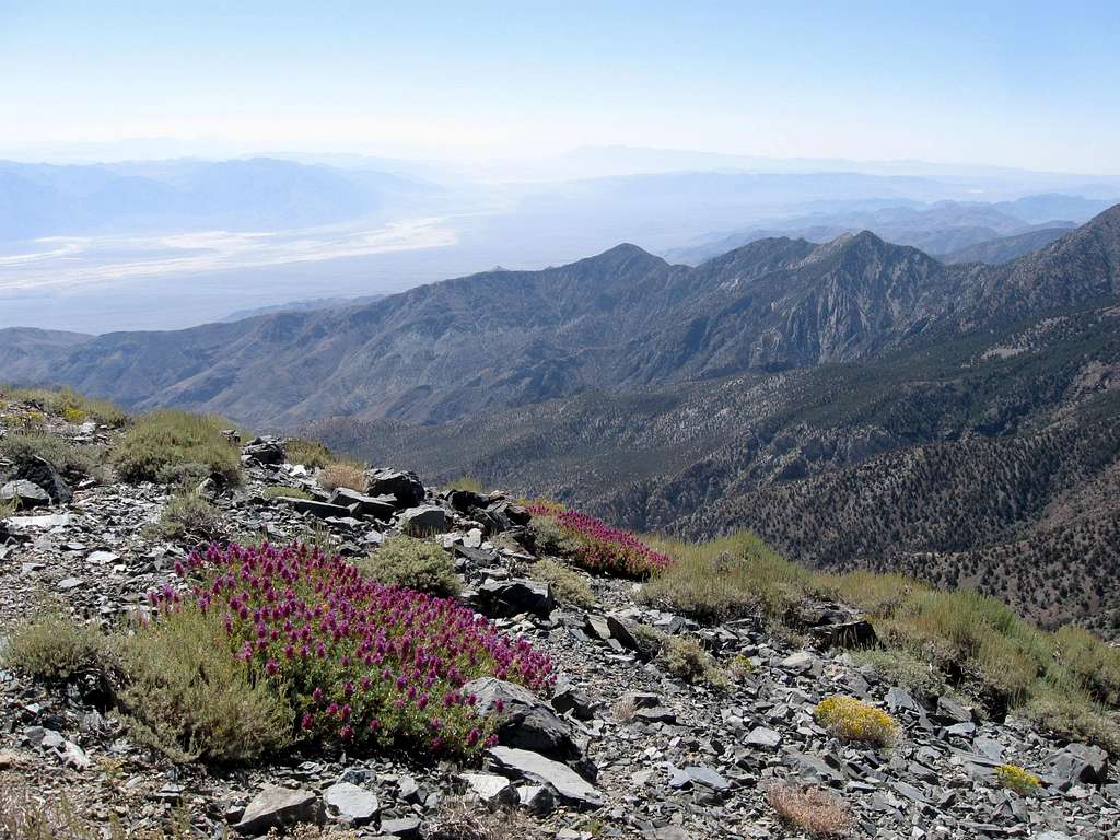Looking Southeast Into Death Valley From Near the Summit of Rogers Peak