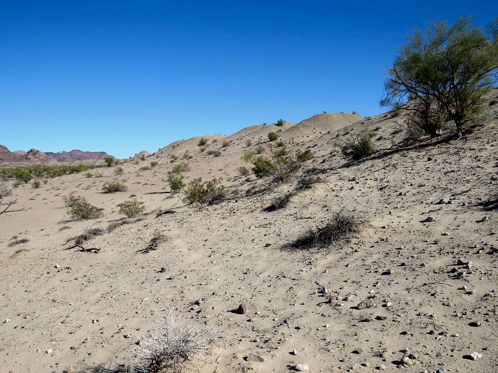 Blankenship Valley sand dunes