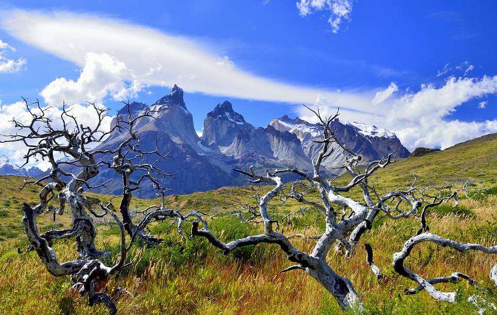 Cuernos del Paine