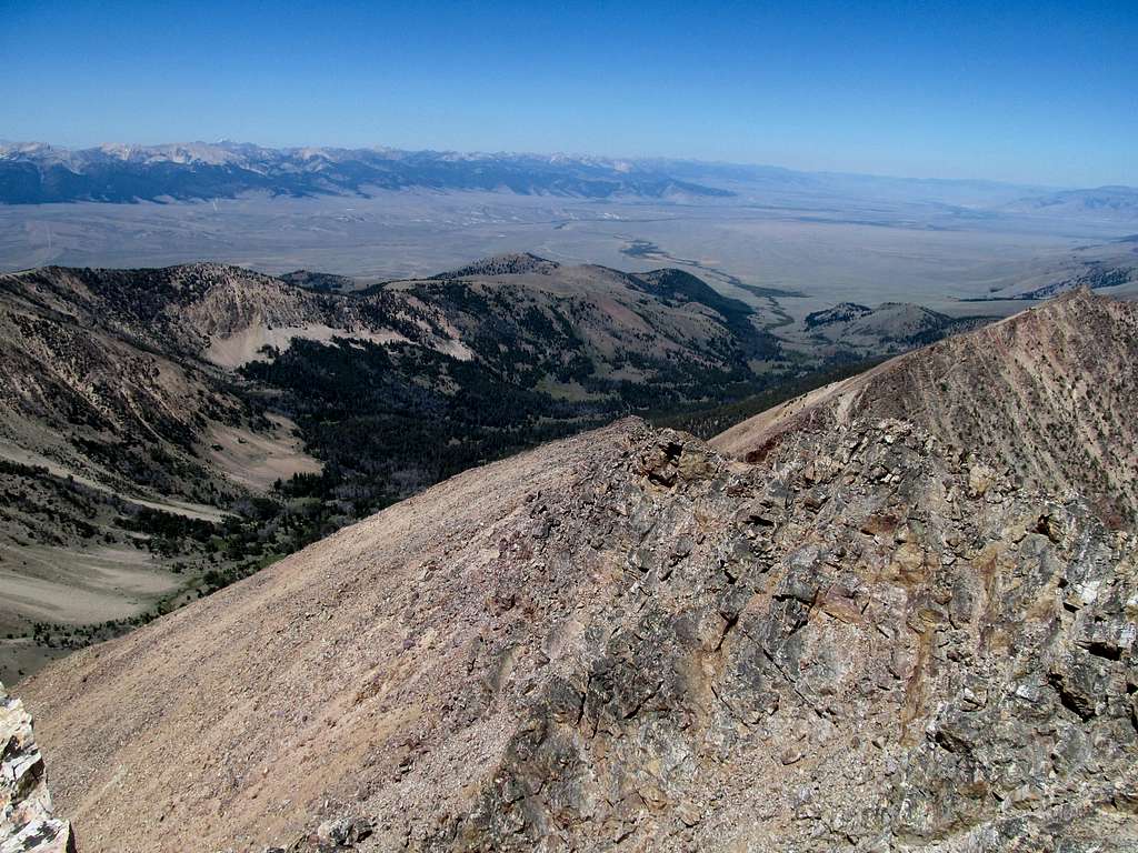 Northern Lemhi's from 18Mile