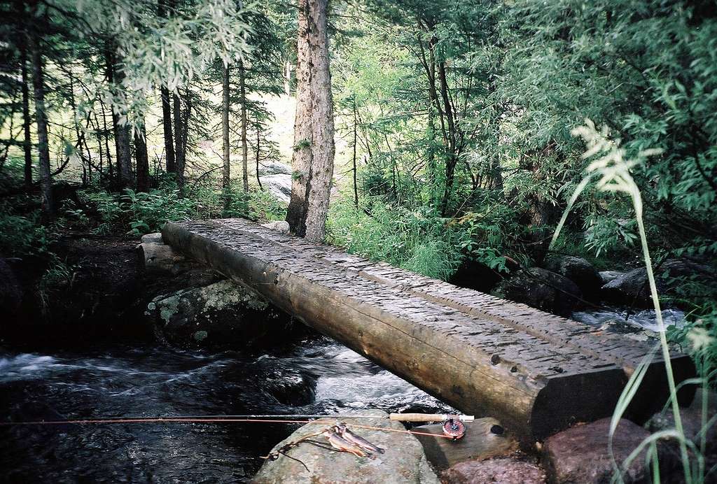 Log Bridge at Half-Way