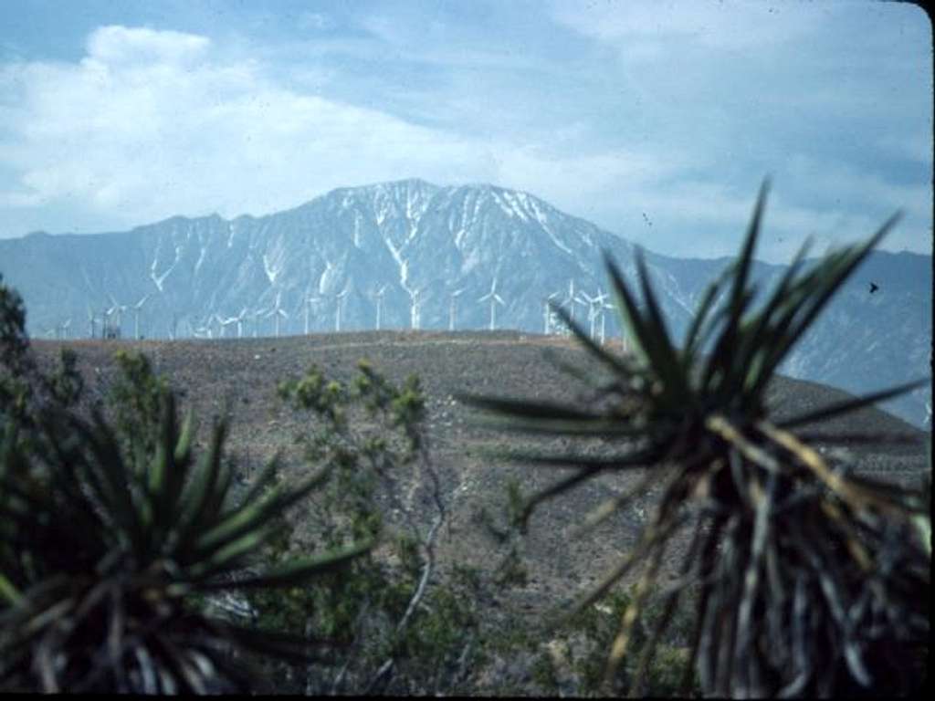 San Jacinto, taken late May...