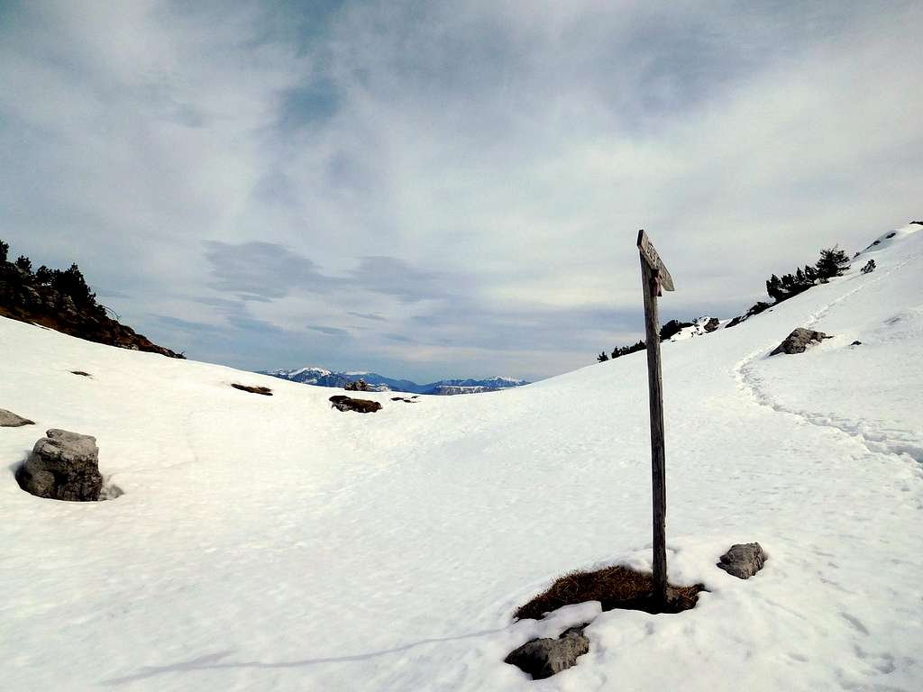 Wooden signpost near the summit of Caplone