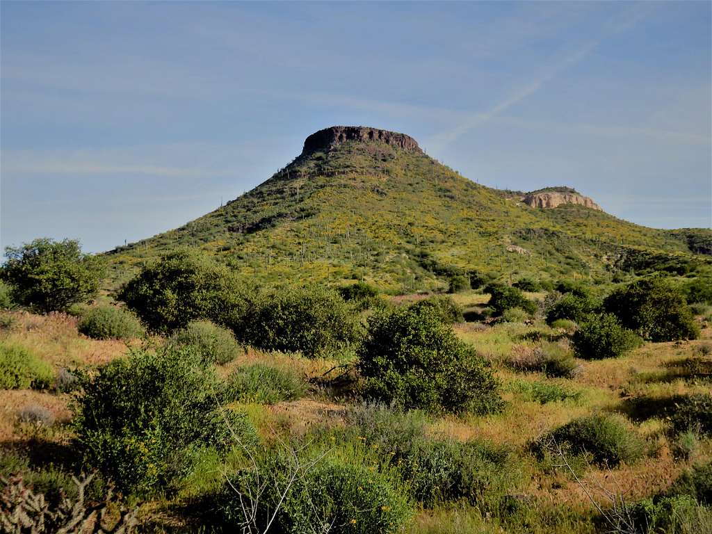 Brown's Mountain from the Upper Ranch Trail