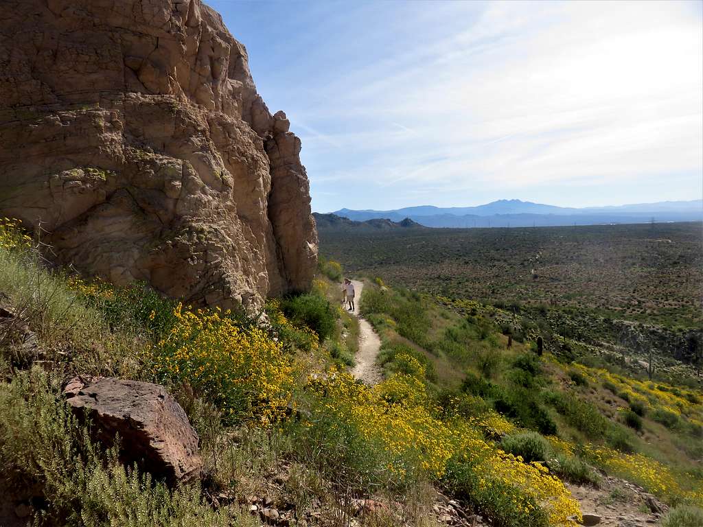 View down the main trail