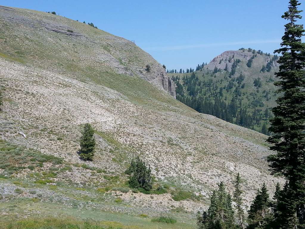Mount Elmer from Green Canyon Ridge