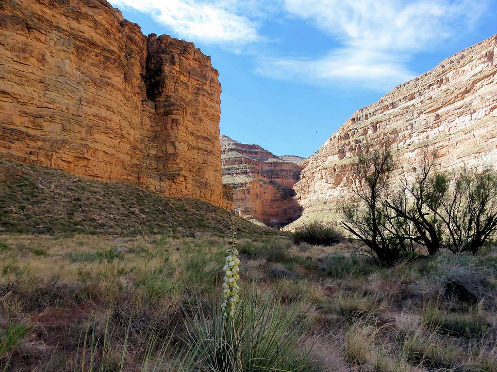 Bottom of the canyon