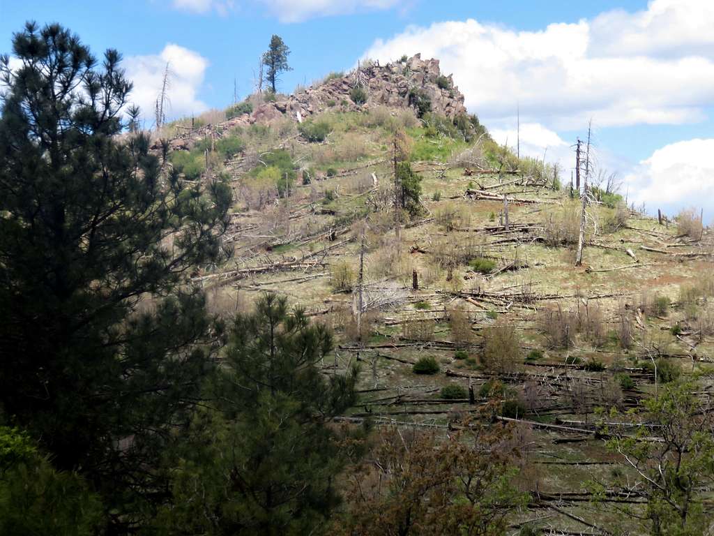 View of the summit from the trail to the south overlook