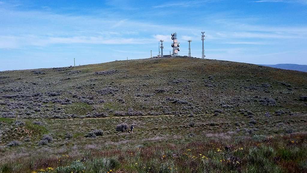 The summit of Selah Butte