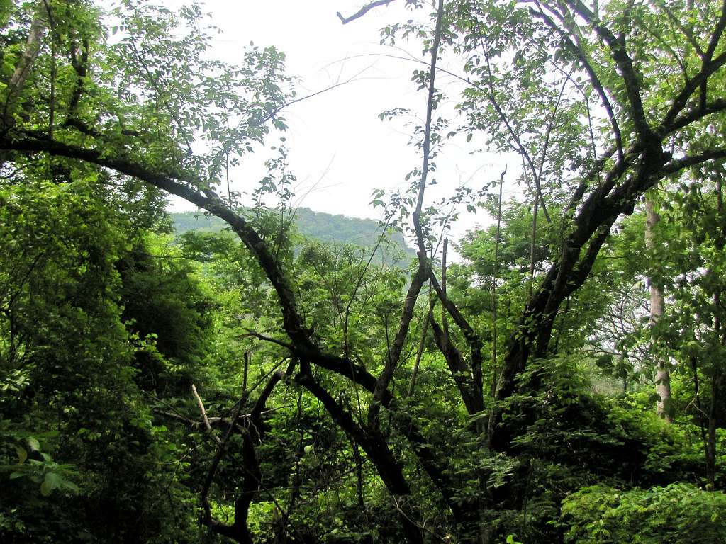 Barra Honda National Park