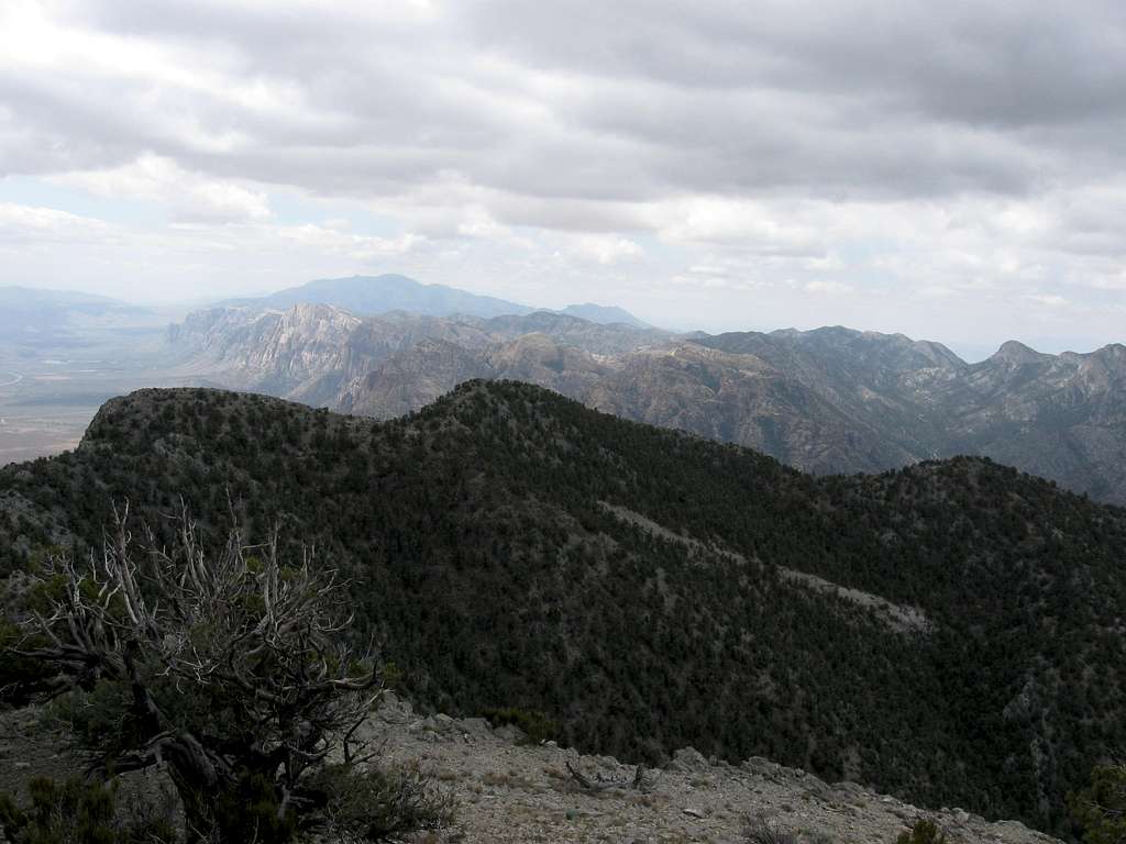 Looking South From the Summit of El Bastardo