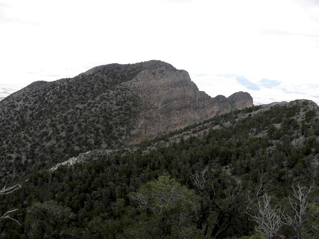 La Madre Mountain