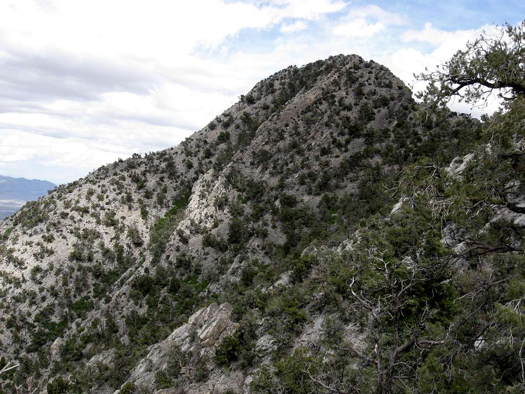 This Subpeak of La Madre Mountain is Marked as 7667 on Some Topos
