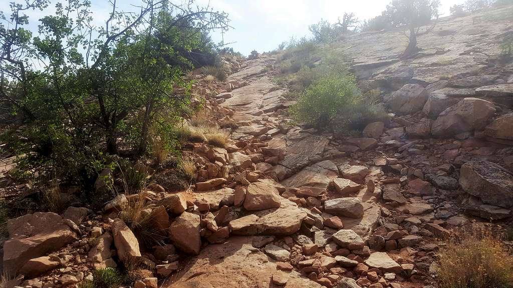Steep rocky trail