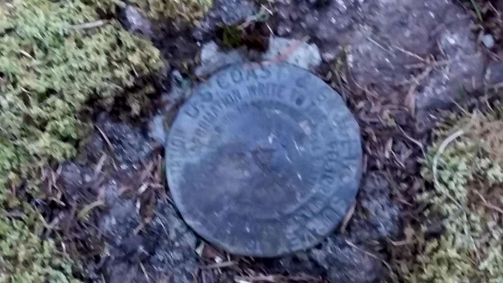 Survey marker is still there