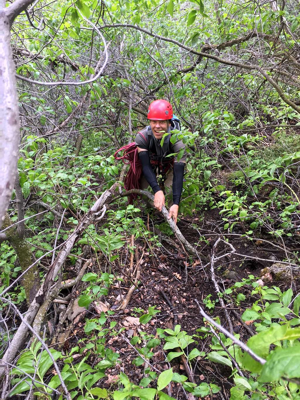 Chillumstone Gully