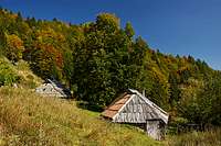 Osredek meadow