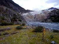 Terminus of the Herbert Glacier