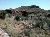 Franklin Mountains State Park, TX