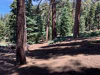 John's Meadow Campground