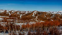 Rolling hills of Mongolia