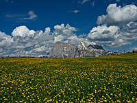 Sassolungo - Langkofel from Alpe di Siusi