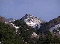 Borova glava (1561m), summit...