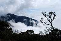 8 - Ridges poking through the clouds in the Latimojong Massif south of Rantemario