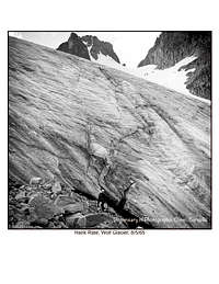 Hank, Wolf Glacier