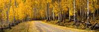 Street-Of-Gold-Aspen-Country-Road-1280