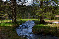 Ledine southern brook inflow