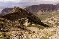 The rugged Ruby Mountains as seen from atop Mt Gilbert looking north